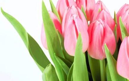 Pokloni za Dan žena u zadnji čas