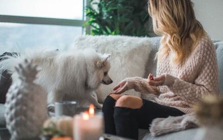 #ostanidoma i naruči online