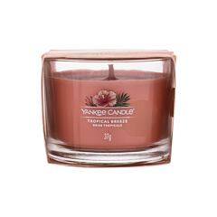 Mirisna svijeća Yankee Candle Tropical Breeze 37 g